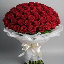 Букет 101 Красная роза Блэк Мэджик в Эльхотово