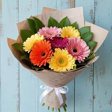 Букет цветов из:  Герберы #REPLACE_PRED# Эльхотово