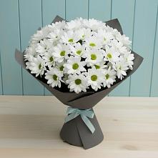 Букет цветов из:  Хризантемы в Эльхотово