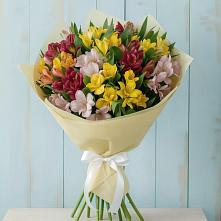 Букет цветов из:  Альстромерии #REPLACE_PRED# Эльхотово
