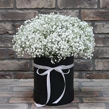 Цветочная композиция из Гипсофила в шляпной коробке в Эльхотово